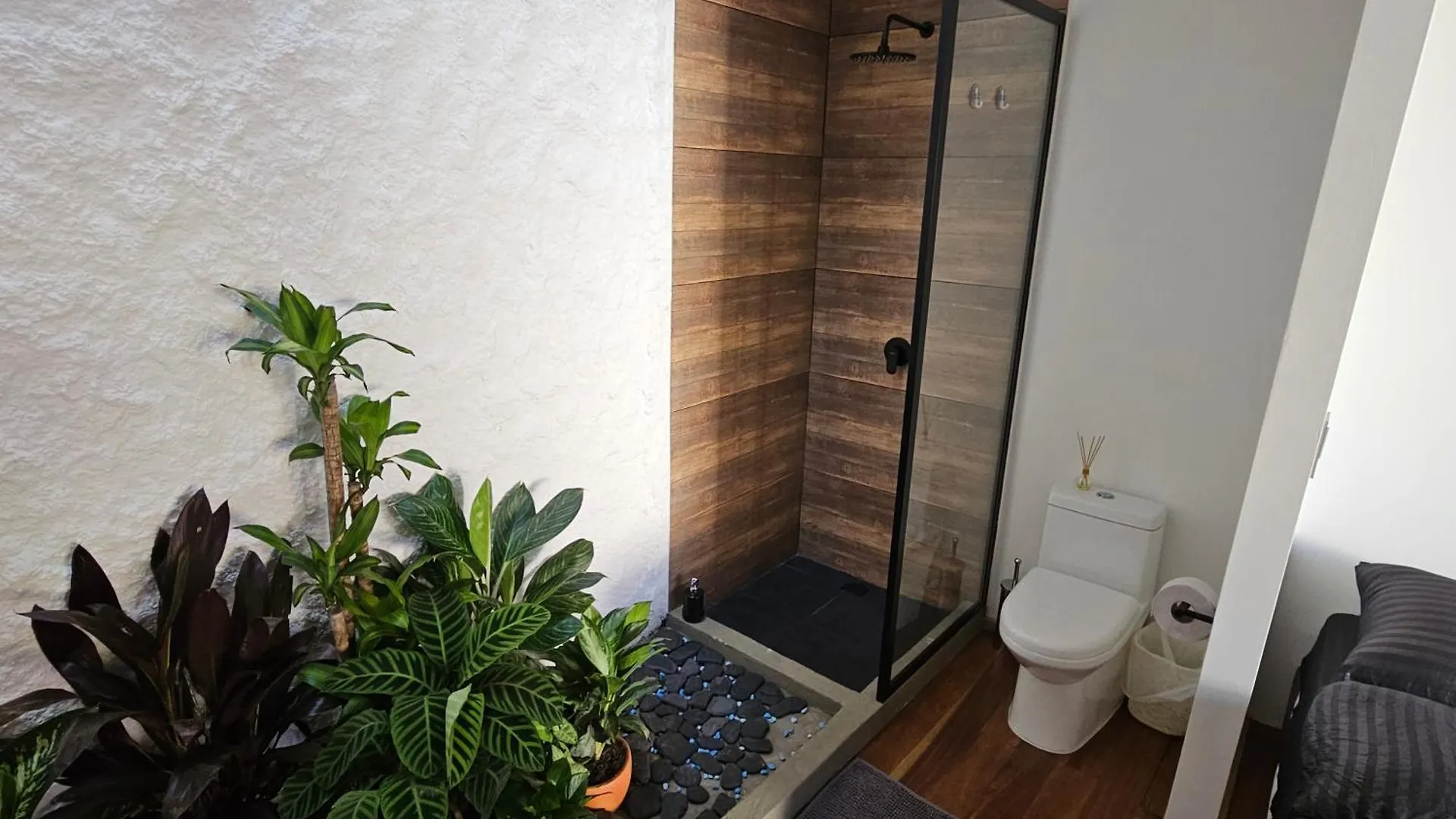 Casa Alba Hotel Cali Guest house