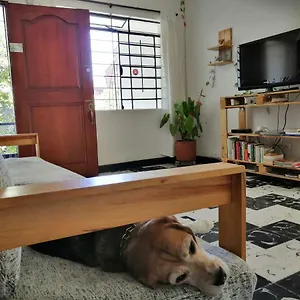 https://casa-natura-hostel.colombiamedellinhotels.com